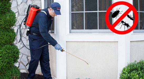 Niksar Hamam Böceği İlaçlama böcek ilaçlama ve haşere kontrolü — ilaclama-tr.com
